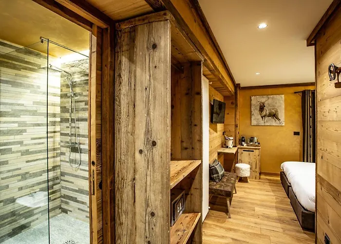 Alpine Guest house 4*