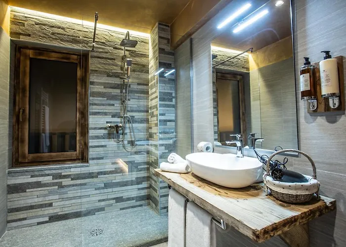 Alpine Guest house 4*